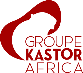 Logo Kastor Africa
